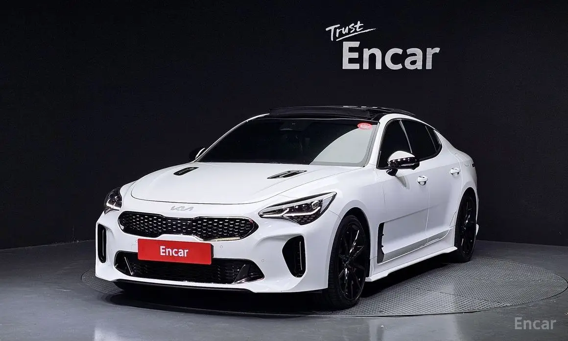 Kia Stinger Meister 2.5 Masters Arkro Edition