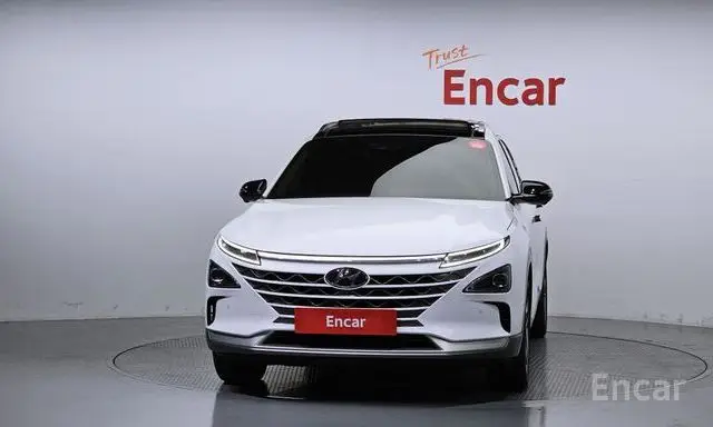 Hyundai Nexo Premium