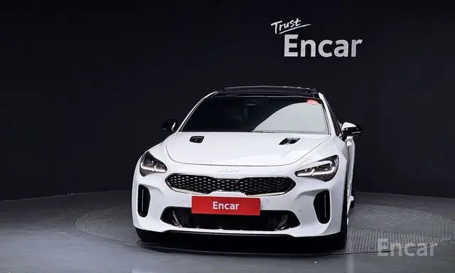 Kia Stinger Meister 2.5 Masters Arkro Edition