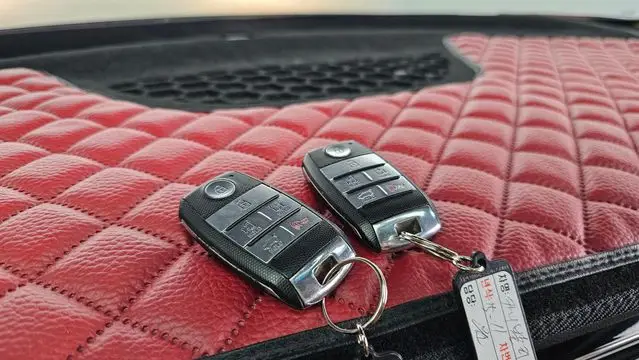 Kia All New Carnival 7-Seater Limousine VIP