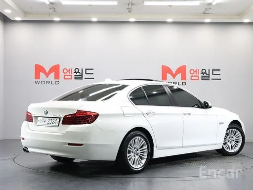 BMW 5 Series (F10) 520d xDrive