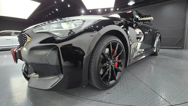 Kia Stinger Meister 3.3 GT AWD Arkro Edition